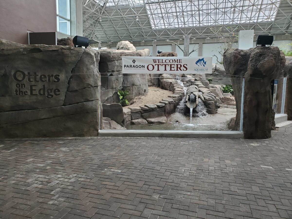 Otters on the Edge - NC Aquarium