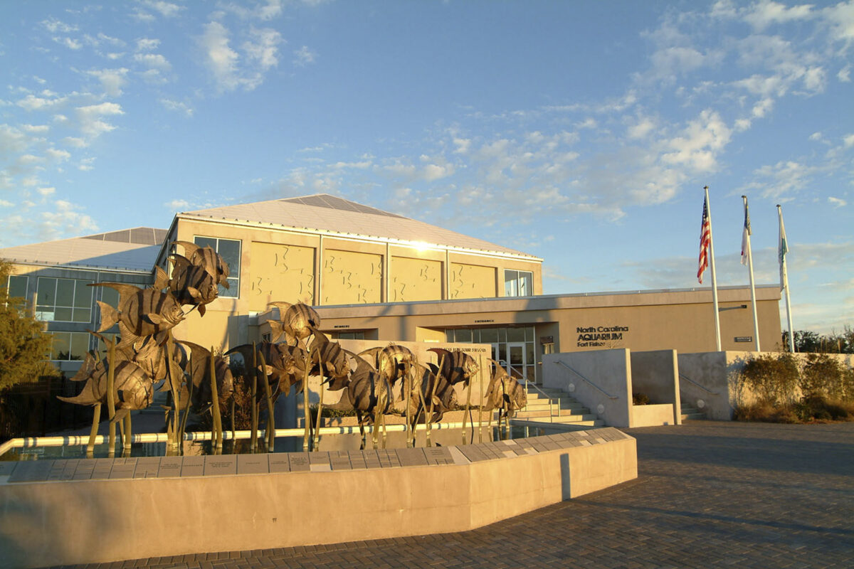 Fort Fisher Aquarium